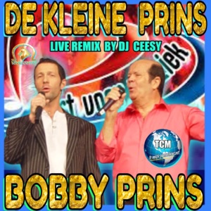 De Kleine Prins - Single