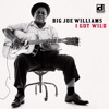 Big Joe Williams