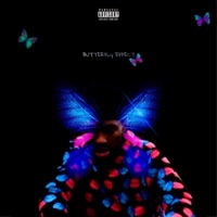 Butterfly Effect - EP - 5limebaby