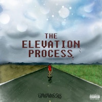 The Elevation Process - Danameslb