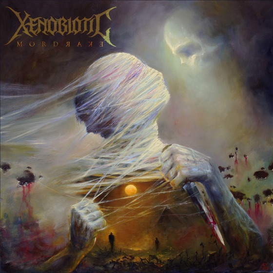 Cover artwork for Light That Burns the Sky
