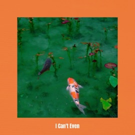 I Can't Even Kingsford