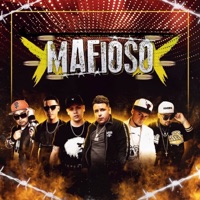 Mafioso (feat. Robey TnT, Maniako, The Fire Lyrics, Kito El Niño Fama & Fitzone) - Single - Luxian