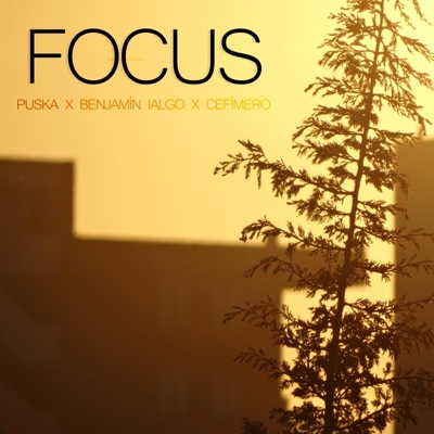 Focus (feat. Benjamín Ialgo & Cefímero) - Single