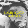 Lamb of God (Live) - Matt Redman