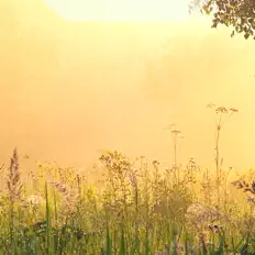 Meditation Utopiaを聴いたり、ミュージックビデオを鑑賞したり、経歴やツアー日程などを確認したりしましょう！