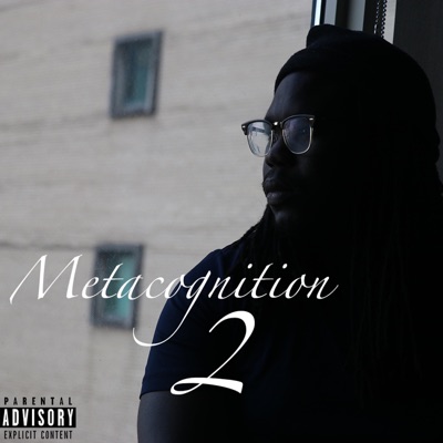 Metacognition 2