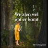 We Zien Wel Wat Er Komt - Single