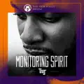 Monitoring Spirit