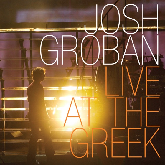 Cover artwork for You Raise Me Up (Live 2004)