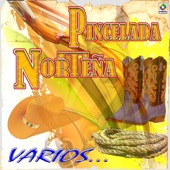 Pincelada Norteña artwork