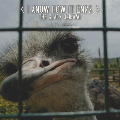 I Know How It Ends - Single