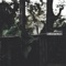 Consequences - Overset lyrics