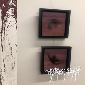 Distress Signal (feat. Apeightyone) - Single