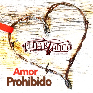 Amor Prohibido