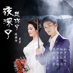 夜深了想你了 - Single