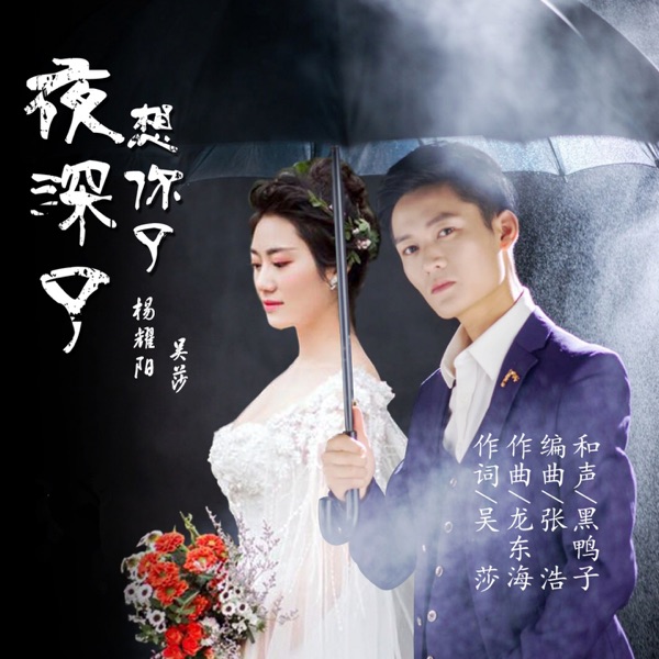 夜深了想你了 - Single