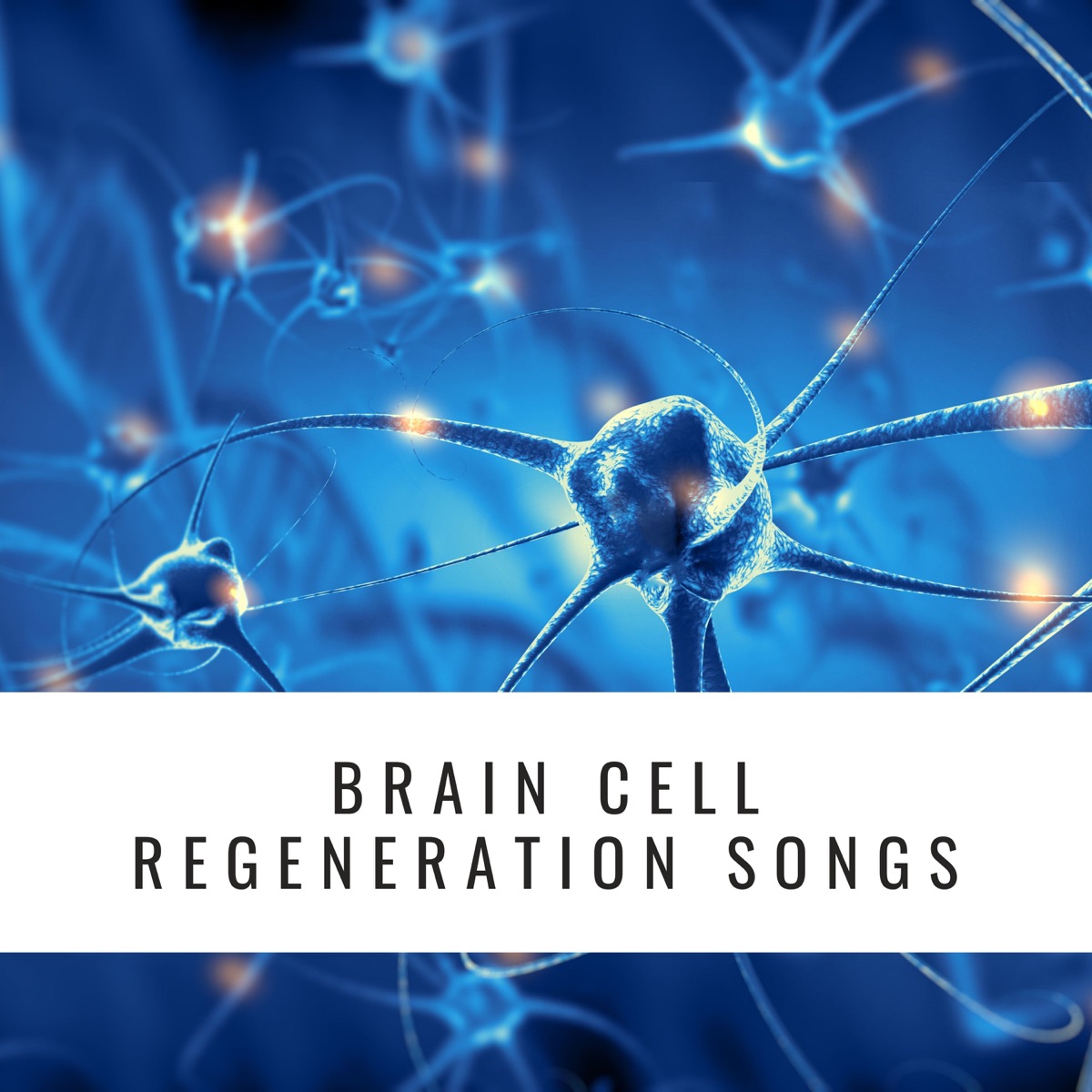 brain-cells-regeneration-best-sale-www-micoope-gt