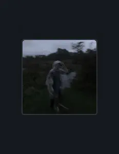 收听 New Average Standard、观看音乐视频、阅读小传、查看巡演日期等 ！