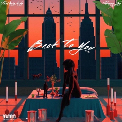 Back to You - Single