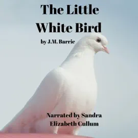 The Little White Bird (Unabridged)