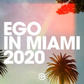 Ego in Miami 2020 artwork