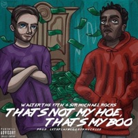 That's Not My Hoe, That's My Boo (feat. Sir Michael Rocks) - Single - Walter the 17th
