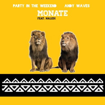 Monate (feat. Naledi) - Single