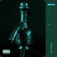 Sfn - Single - Domnul Udo