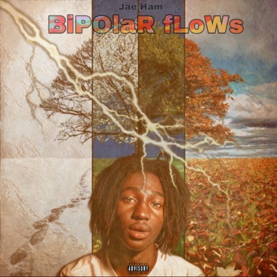 Bipolar Flows