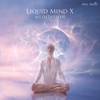 Liquid Mind X: Meditation - Liquid Mind