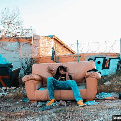 Year of the Dolphin (Legendary Edition)