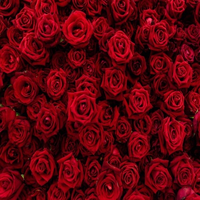 Sublime (feat. Fitoxo) - Single