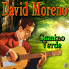 Camino Verde - David Moreno
