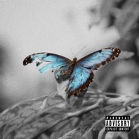 Disintegration Metamorphosis - Single - Guwazny