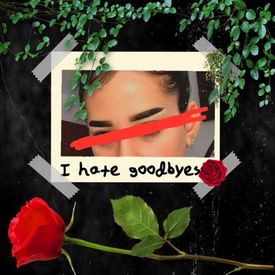 I Hate Goodbyes - Single