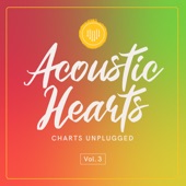 Charts Unplugged, Vol. 3 artwork