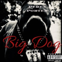 BIG DOG - Single - Pyrex Porter