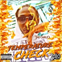 Temperture Check - Tae Carlo