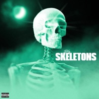 Skeleton In the Room - Single - DLZ