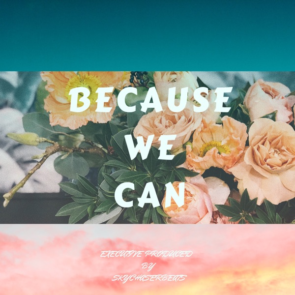 Because We Can