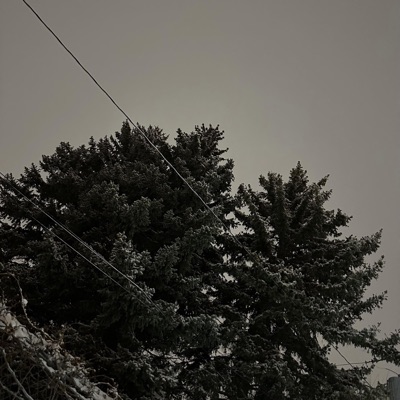 Stories - Single