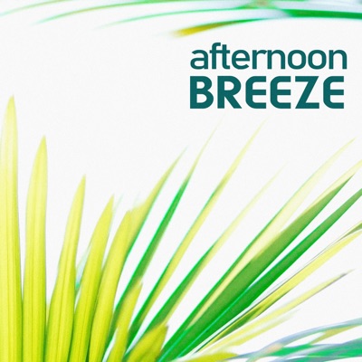 Afternoon Breeze (feat. Mensing) - Single
