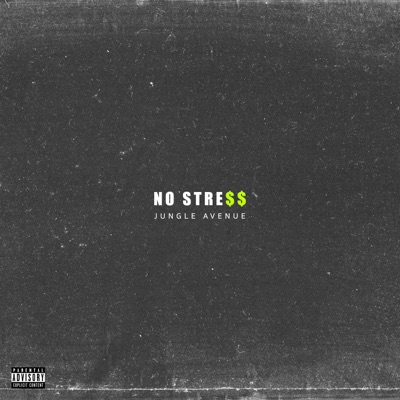 No Stress (feat. Dizii, Zeke Laryea, Nana a.J, Reefer Tym & Oniisha) - Single