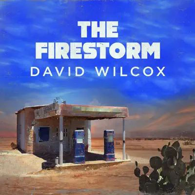 The Firestorm - Single - David Wilcox