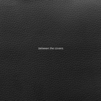 B E T W E E N T H E C O V E R S - Single - Wyatt Roberts