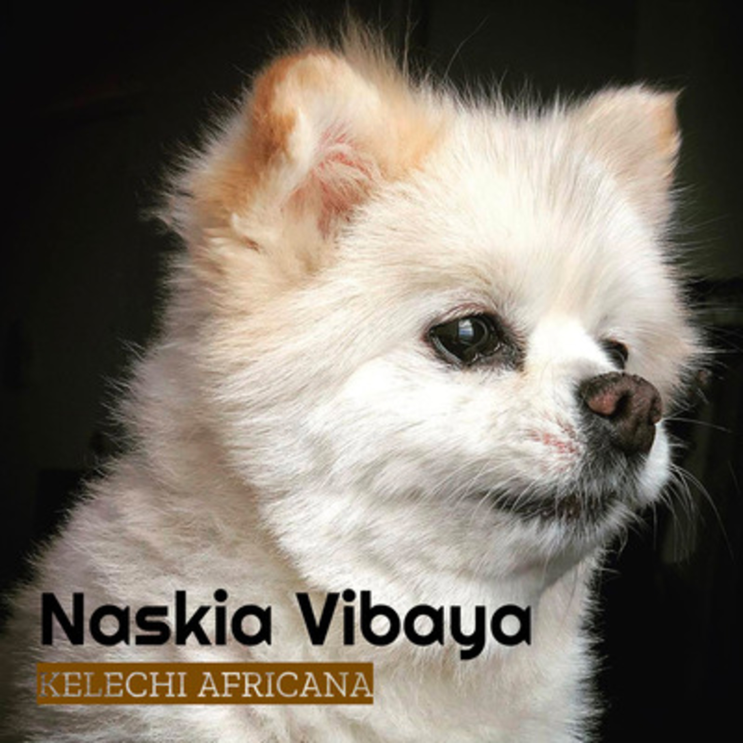 Kelechi Africana - Naskia Vibaya