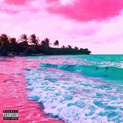 Cases - Single