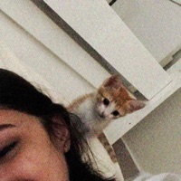 Tô Meio Apaixonado (Acústico) - Single - Zant