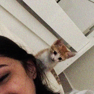 Tô Meio Apaixonado (Acústico) - Single